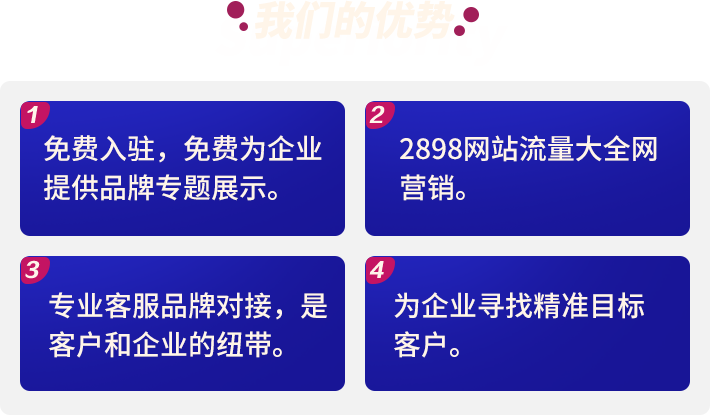 我们的优势