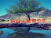 搜索优化